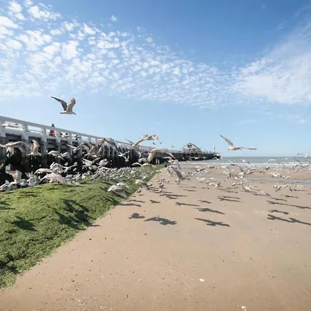 Beau Rivage In Blankenberge